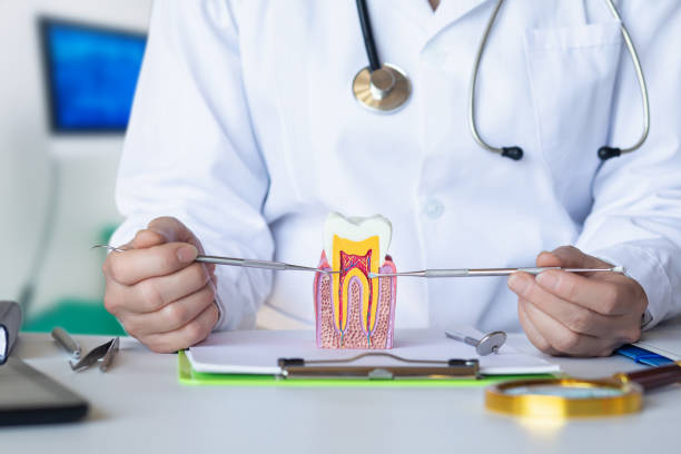 Best Emergency Dental Care for Abscessed Tooth in Kahaluu Keauhou, HI